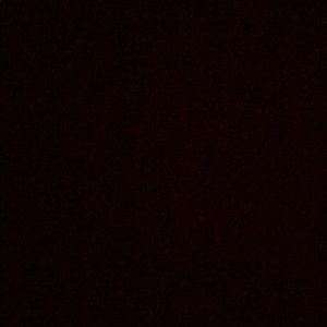 Meet your Posher, Leon